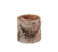 FloristryWarehouse Rollo de corteza de árbol de abedul, 300 cm de largo x 15 cm de ancho