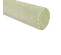 FloristryWarehouse Rollo de papel crepé 50 cm x 2,5 m de, Pale Green (Shade 566)