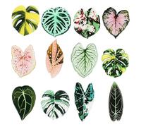 Floruvia 12 Piezas de imanes de Nevera en Forma de Hoja, imanes Decorativos de temática Vegetal para Cocina, Oficina, Escuela, casillero, Idea de Regalo Divertida para Amantes de Las Plantas
