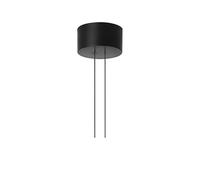 Flos Florón de lámpara Arrangemnt Rose Black. big