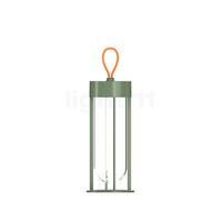 Flos In Vitro, lámpara recargable LED, verde claro, 3.000 K