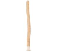 Floss Picks - Count Mint Waxed Sticks, Eco-Friendly Cleaning Threads, Gentle Gum Support | Sustainable Hygiene for Healthy Smile