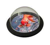 Flotante para Plantas acuáticas Betta Fish Aquarium | Flotante para Plantas hidropónicas, flotabilidad Ajustable para Plantas hidropónicas vivas