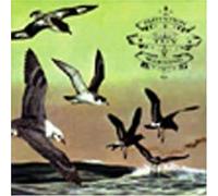 Flotation Toy Warning - Bluffers Guide to the Flight D