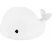 Flow Amsterdam - Luz nocturna de ballena