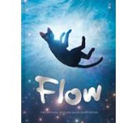 Flow Picture Book (ebook)