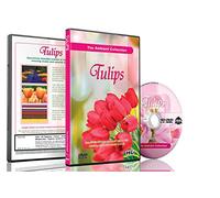 Flower and Tulip DVD - Flowers of Holland - Videos For Relaxation