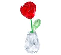 Flower Dreams Rosa OS