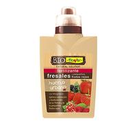 Flower - Fertilizante Bioflower para Fresales | Complejo Vitamínico 500ml | Bioestimulante para Frutos Rojos | Abono Líquido para Maduración Óptima, 10x6.2x19 cm