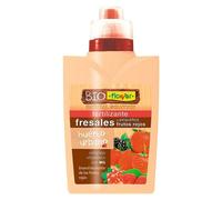 Flower Fertilizante para fresas y arándanos (500 ml)
