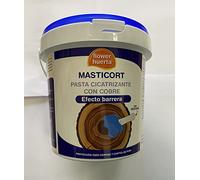 FLOWER HUERTA MASTICORT Pasta CICATRIZANTE con Cobre 1KG