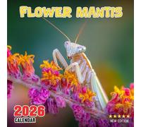 Flower Mantis Calendar 2026: A year of elegant floral-like insects