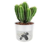 Flower Pot Secret Safe - 7.11cm Anti-Theft Double Layer Container | Jewelry Safe With Money Bag And Lock | Wrought Iron Flower Pots For Cash Key Ring Watch Valuables Coin Jewelry