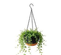 Flower Pots - Drainage Equipped Flora Balcony Urn, Self Watering Railing Pouch Box, Weatherproof Lightweight Resin Saucer Cradle | Decorative Vegetation Hanger For Window Porch Backyard Courtyard