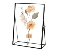 Flower Press Frame, Simple Metal Tabletop Floating Picture Frame 4x6 Inch, Decorative Display Holder For Home Office Table Keepsake Display Dried Flowers Clovers Small Artwork Photos And Crafts Use