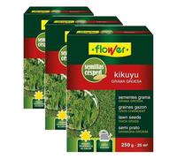 Flower - Semillas Kikuyu | Césped Resistente a Calor y Salinidad | Bajo Mantenimiento y Riego Eficiente | Cubre 25 m² | Ideal Climas Cálidos y Costas, 10.3x3.7x14.5 cm, Semilla (Paquete de 3)