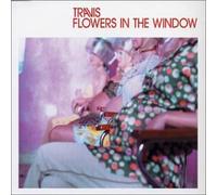 Flowers in the Window