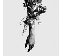 Flowers of Romance,the