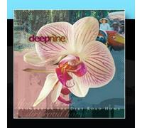 Flowers On The Dirt Road Home