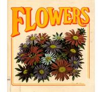 Flowers : Usborne First Nature