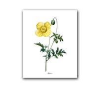 Flowers Vintage Posters and Prints Antique Flower Botanical Art Canvas Painting Wall Pictures for Living Room Decor(PH8032,A5 15x21 cm No Frame)