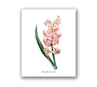 Flowers Vintage Posters and Prints Antique Flower Botanical Art Canvas Painting Wall Pictures for Living Room Decor(PH8028,A2 42x60 cm No Frame)