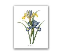 Flowers Vintage Posters and Prints Antique Flower Botanical Art Canvas Painting Wall Pictures for Living Room Decor(PH8034,13x18 cm No Frame)