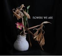 Broken Silence – Flowers We Are