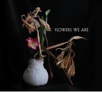 Broken Silence – Flowers We Are