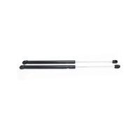 FLPLZKMNZK Amortiguador de Maletero 2 Uds para Edge para Sport para Utility 2007-2015 Auto Portón Trasero Maletero Soportes Elevación Amortiguadores Gas para Coche Resorte Gas Puntales(Black)