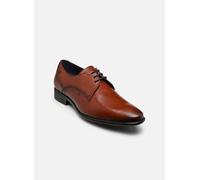 Fluchos ALEX 9204 40 Marrón