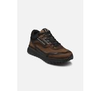 Fluchos Arion F1840 39 Gris