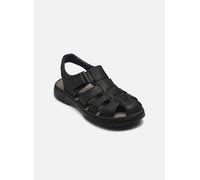 Fluchos AZORES F2198 41 Negro