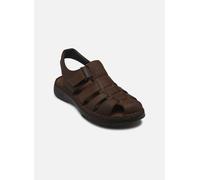 Fluchos Sandalias de Hombre Azores F2198 de la Talla 44 en Color Marron