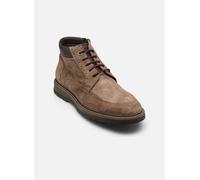 Fluchos F2325 BOTINES PLANOS Hombre
