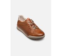 Fluchos ELDER F2179 41 Marrón