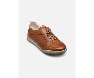 Fluchos ELDER F2179 42 Marrón