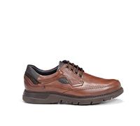 Fluchos F0248 SALVATE LIBANO+COM.2 Celtic (46)