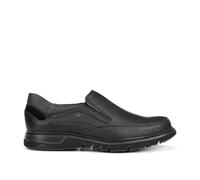 Fluchos F0249 Gras Negro+COM.1 Celtic (43)