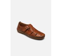 Fluchos F1175 44 Marrón