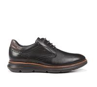 Fluchos F1351 Habana Negro+COM.3 William (44)