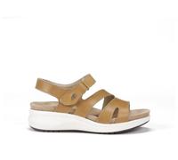 Fluchos F1478 Tibet Camel YAGON (40)
