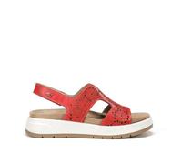 Fluchos F2007 Tibet Rojo Street (39)