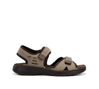Fluchos F2197 Gaucho Taupe Marron Azores (45)