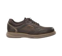 FLUCHOS - Fluchos Zapato Casual de Hombre F2509 Piel Nobuck Cafe Cierre Cordones Suela Ligera TR Plantilla Extraible Calzado Confort Caballero Otoño Invierno - Cuero