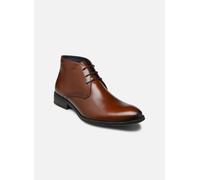 Fluchos Heracles 8415 43 Marrón