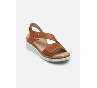 Fluchos LEZA F2137 41 Marrón