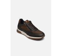 Fluchos Louis F1603 40 Verde
