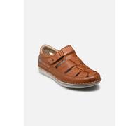 Fluchos PARKER F2003 46 Marrón