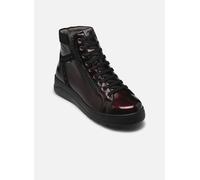 Fluchos POMPAS F2250 37 Burdeos